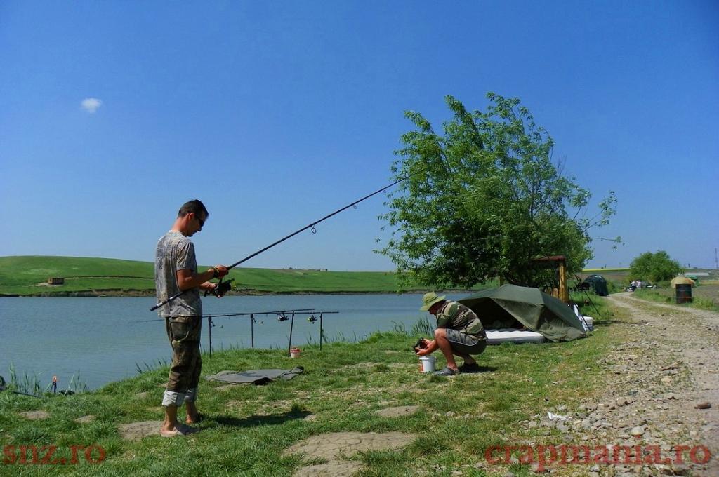 Concurs Party Cup - Sulimanu - 1010434.jpg